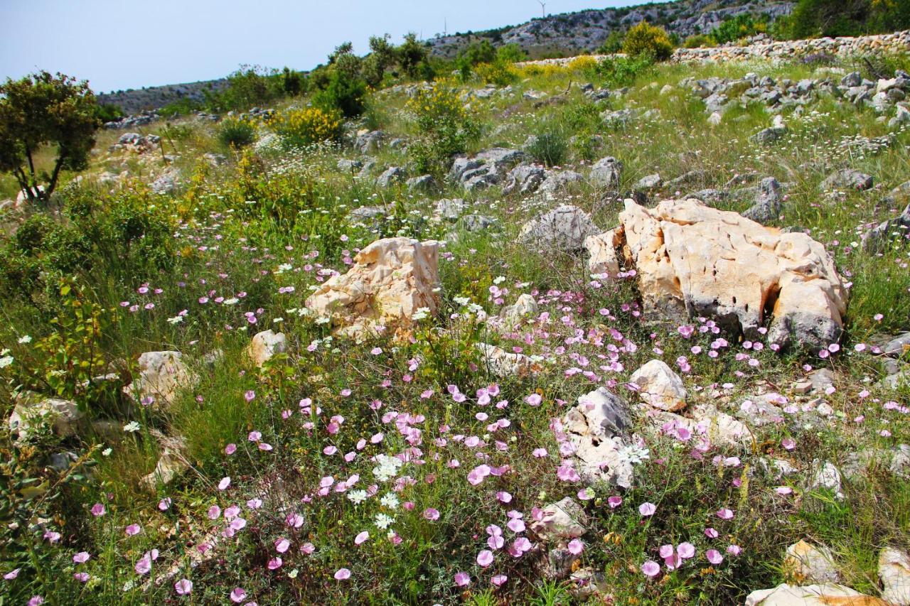 Villa Zlatno Sunce In The Hills Near Trogir Vrsine ภายนอก รูปภาพ