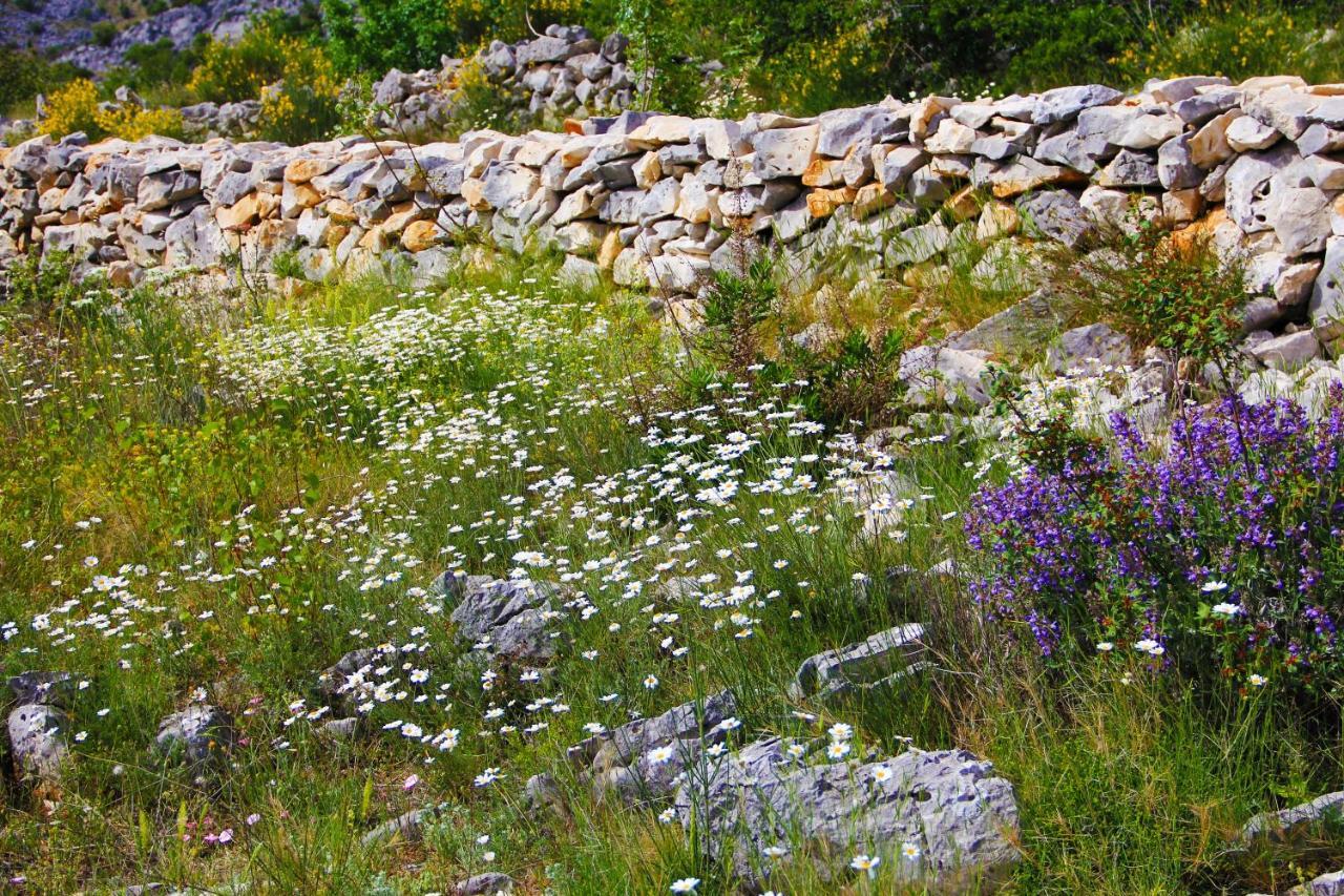 Villa Zlatno Sunce In The Hills Near Trogir Vrsine ภายนอก รูปภาพ