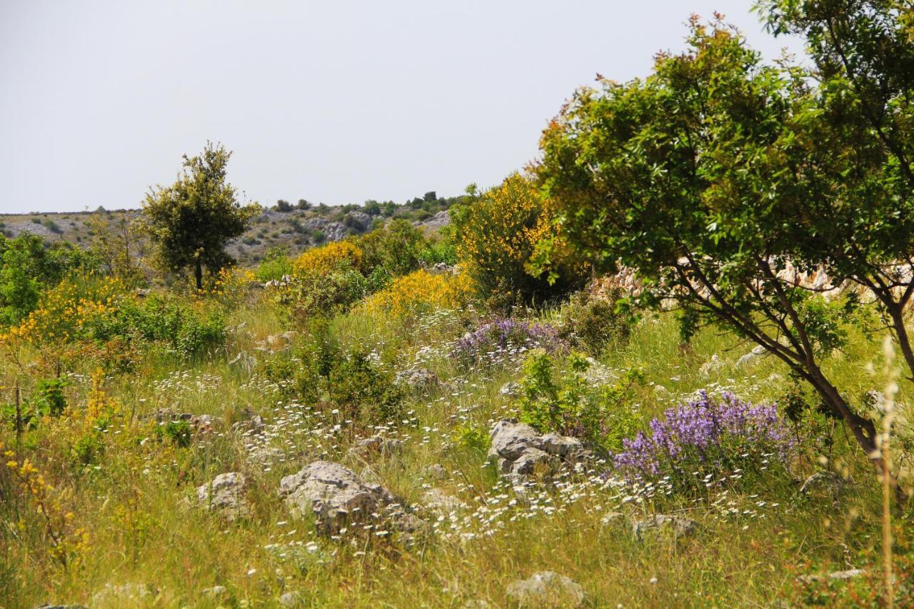 Villa Zlatno Sunce In The Hills Near Trogir Vrsine ภายนอก รูปภาพ