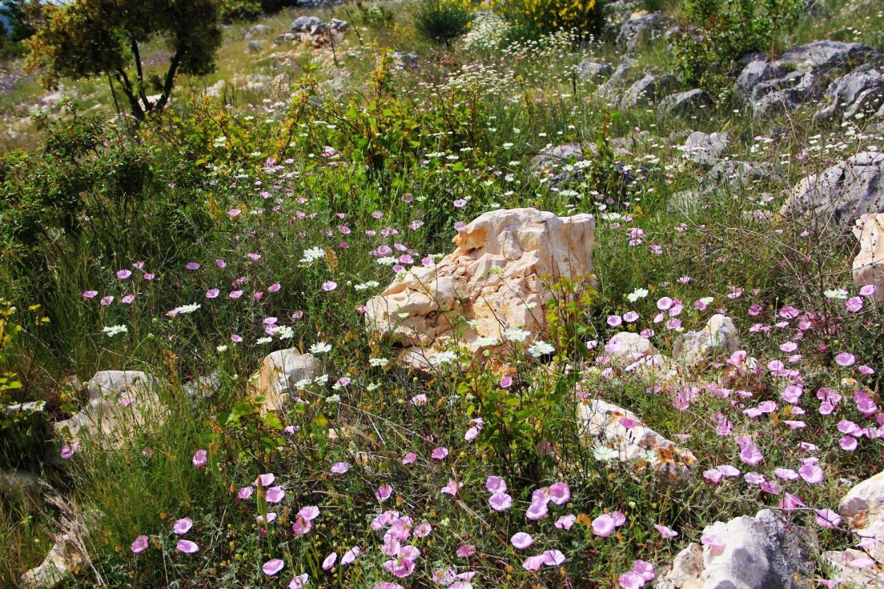 Villa Zlatno Sunce In The Hills Near Trogir Vrsine ภายนอก รูปภาพ